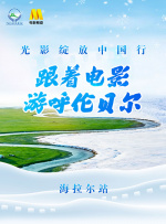 字幕全集免费观看
