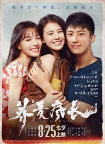 DVD无删减90分钟观看